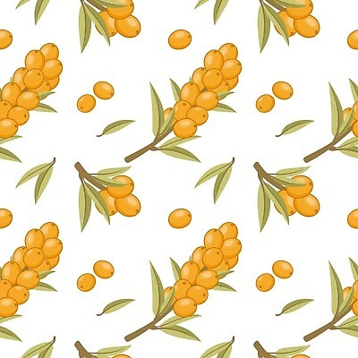 EPS 해외이미지 식물 템플릿 드레스 옷 여자 열매 꽃 종이 백그라운드 패턴 일러스트 포장 벽지 선물 미술 나뭇가지 개화 인쇄 포장지 질감 무한 벡터 반복 해외202309 해외일러스트 나무 무늬 문화예술 사람 파일형식