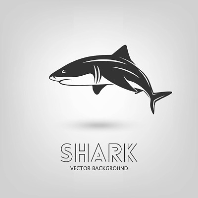 EPS 해외이미지 동물 템플릿 디자인 실루엣 야생동물 파도 바다 백그라운드 컨셉 일러스트 자연 그림자 어류 그래픽 물 검은색 수중 수영 웹 흰색 원형 서핑 치아 위험 큼 문신 배고픔 심볼 사인 그림 사냥 날카로움 지느러미 상어 턱 토막 고립 깊이 마스코트 엘리먼트 활자 벡터 해외202309 해외일러스트 자연요소 도형 컬러 인터넷 촬영기법 수중동물 수상스포츠 소화기관 크기 생태계 활자판 파일형식