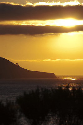 포토 JPG 해외이미지 바다 오렌지 하늘 사람없음 노란색 일몰 캘리포니아 태평양 해외202309 해외포토 컬러 과일 노을 미국 파일형식