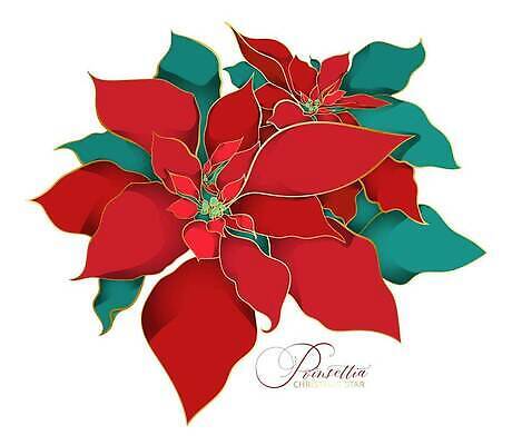 JPG 해외이미지 크리스마스 일러스트 사람없음 장식 빨간색 겨울꽃 포인세티아 해외202309 해외일러스트 기념일 꽃 컬러 겨울 파일형식
