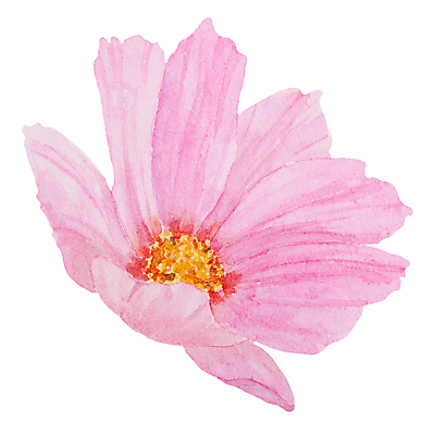 포토 JPG 해외이미지 클립아트 식물 꽃잎 꽃 분홍색 꽃다발 결혼 꽃무늬 밭 일러스트 자연 국화 발렌타인데이 선물 사람없음 장식 컬러풀 정원 보라색 페인트 낭만 수확 벚꽃 시골 인사 신용카드 클래식 우아함 인쇄 스케치 자르기 수집 싱글 그림 데이지 향기 엽서 초대 손그림 라일락 밭일 엘리먼트 현실 해외202309 해외일러스트 컬러 컨셉 무늬 농업 모션 데이이벤트 미술 이벤트 금융 예절 편지 생태계 냄새 파일형식