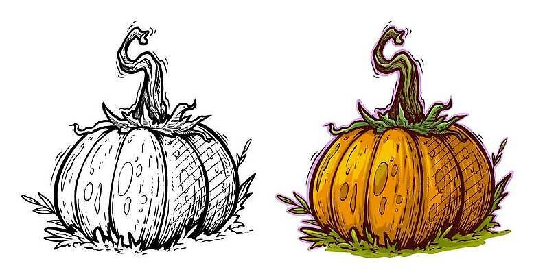 EPS 해외이미지 식물 계절 음식 백그라운드 잎 채소 오렌지 과일 일러스트 재료 자연 호박 건강 미술 그래픽 환경 정원 식사 할로윈 흰색 신선 시장 만화 먹기 오브젝트 그림 유기농 날것 박 10월 내추럴 고립 숙성 식용 벡터 해외202309 해외일러스트 웰빙 컬러 모션 문화예술 날짜 생태계 파일형식