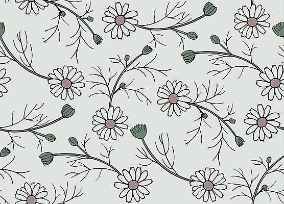 EPS 해외이미지 꽃 선 꽃무늬 패턴 일러스트 초록색 약 유행 검은색 흰색 허브 데이지 심플 윤곽 색칠공부 캐모마일 핸드메이드 벡터 해외202309 해외일러스트 식물 컬러 무늬 의학 학습 색칠 파일형식