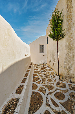 포토 JPG 해외이미지 나무 전통 외관 도로 벽 섬 여행 백그라운드 건축양식 자연 하늘 휴가 거리 주택 풍경 사람없음 야외 건물 여름 도시풍경 마을 환경 발코니 도시 보행자 보행로 도심 그리스 타운 이웃 그리스인 랜드마크 해외202309 해외포토 서양인 식물 건축물 계절 건축 유럽 길 교통시설 생태계 파일형식