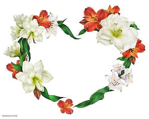 EPS 해외이미지 식물 디자인 계절 꽃잎 꽃 꽃다발 결혼 꽃무늬 일러스트 자연 수채화 부활절 프레임 발렌타인데이 장식 빨간색 여름 뷰티 유행 귀여움 정원 화환 봄 낭만 수확 벚꽃 흰색 나뭇가지 개화 우아함 백합 이국적 헤딩 현실 국경 해외202309 해외일러스트 나무 기념일 컬러 컨셉 무늬 농업 데이이벤트 이벤트 축구 생태계 파일형식 벡터