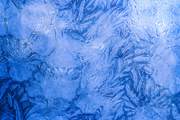 포토 JPG 해외이미지 모양 계절 백그라운드 크리스마스 겨울 패턴 창문 자연 유리 날씨 추상 새로움 프레임 스웨덴 사람없음 야외 파란색 뷰티 냉동 얼음 추위 닫기 시원함 크리스탈 연도 질감 서리 상승 빙산 온도 반투명 스칸디나비아 해외202309 해외포토 자연요소 기념일 컬러 컨셉 무늬 모션 재질 북유럽 광석 생태계 파일형식