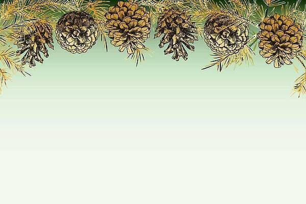 EPS 해외이미지 크리스마스 겨울 일러스트 프레임 사람없음 솔방울 솔잎 카피스페이스 해외202309 해외일러스트 계절 기념일 잎 공백 파일형식 벡터