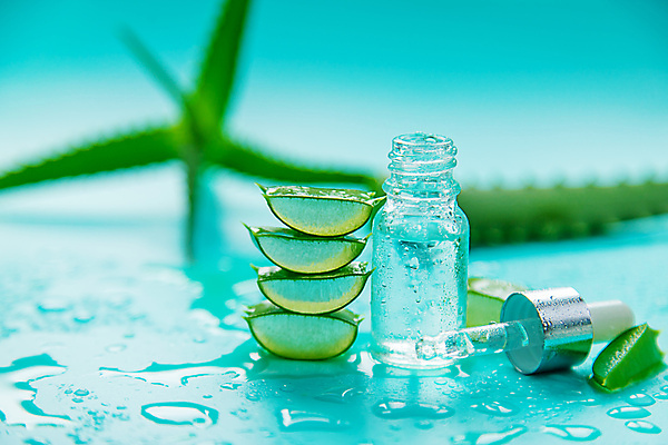 포토 JPG 해외이미지 하늘색 백그라운드 자연 사람없음 아웃포커스 뷰티 신선 오일 수분 내추럴 알로에 해외202309 해외포토 식물 음식 촬영기법 파란색 화장품 생태계 파일형식