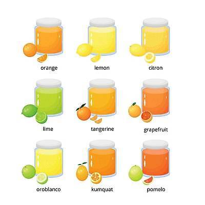 EPS 해외이미지 오렌지 일러스트 유리 귤 사람없음 달콤 병 잼 레몬 라임 레몬잼 유자 포멜로 해외202309 해외일러스트 식기 과일 재질 소스_음식 맛 파일형식 벡터