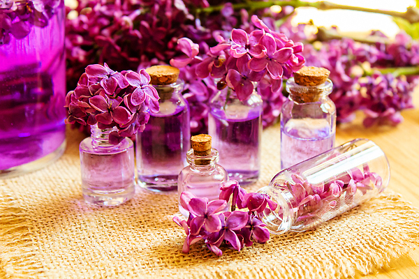 포토 JPG 해외이미지 분홍색 근접촬영 사람없음 보라색 오일 아로마테라피 라일락 내추럴 에센스 해외202309 해외포토 꽃 음식 뷰포인트 컬러 화장품 테라피 파일형식