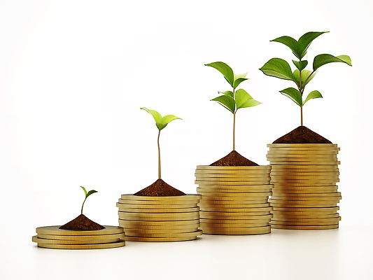 포토 JPG 해외이미지 무료이미지 컨셉 돈 비즈니스 사람없음 금융 3D 새싹 동전 성장 투자 해외202309 해외포토 식물 경제 재산 디지털합성 파일형식