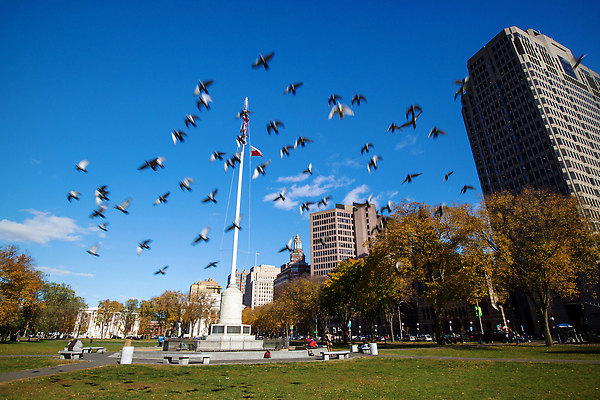 포토 JPG 해외이미지 공원 하늘 잉글랜드 새로움 사람없음 야외 초록색 여름 파란색 가을 도시 도심 일반 랜드마크 해외202309 해외포토 계절 공공시설 컬러 컨셉 영국 파일형식
