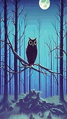 EPS 해외이미지 나무 야생동물 일러스트 사람없음 야간 숲 부엉이 해외202309 해외일러스트 자연요소 식물 동물 조류 파일형식 벡터