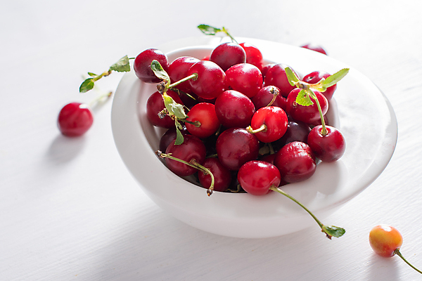 포토 JPG 해외이미지 계절 열매 음식 조각 백그라운드 농업 다이어트 과일 재료 자연 탁자 디저트 건강 사람없음 컵 빨간색 여름 세트 정원 주스 수확 흰색 신선 체리 그룹 달콤 맛 아침식사 찻잔 다발 수집 유기농 날것 비타민 내추럴 숙성 채식주의자 맛있는 해외202309 해외포토 식물 식기 웰빙 산업 음료 컬러 가구 컨셉 잔 식사 생태계 채식 영양소 파일형식