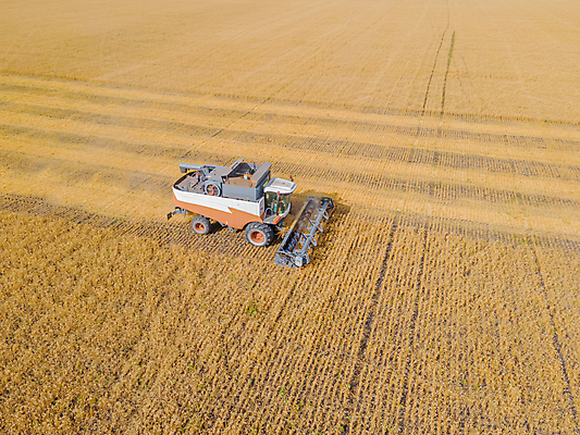 포토 JPG 해외이미지 직업 지구 밭 농업 옥수수 씨앗 사람없음 농작물 농장 농경지 농사 기계 목장 수확 성장 시골 재산 제조 농부 결합 낟알 땅 시리얼 밀 알맹이 꼬투리 밭일 조감도 추출 공급 세련 귀리 해외202309 해외포토 식물 산업 음식 곡류 금융 파일형식