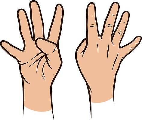 EPS 해외이미지 클립아트 손 백그라운드 컨셉 신체 일러스트 손가락 손바닥 미술 사람 그래픽 세트 주먹 엄지손가락 흰색 표현 4 주름 낙서 만화 스케치 수집 방향 심볼 사인 그림 신호 윤곽 쇼 팔 고립 벡터 해외202309 해외일러스트 컬러 모션 문화예술 신체부위 숫자 파일형식