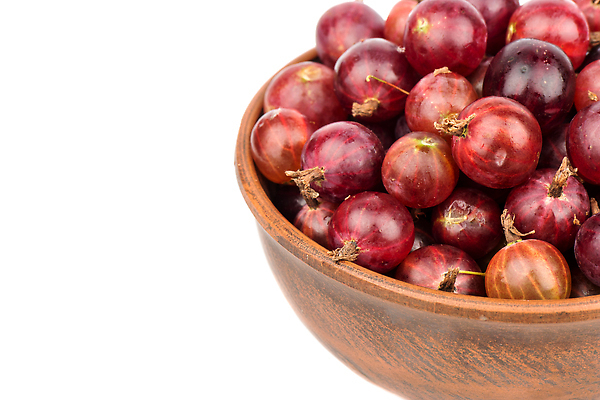 포토 JPG 해외이미지 열매 음식 백그라운드 과일 재료 디저트 건강 사람없음 빨간색 빛 정원 흰색 나뭇가지 신선 그룹 사발 달콤 유기농 구스베리 숙성 채식주의자 맛있는 해외202309 해외포토 나무 식물 웰빙 컬러 사기그릇 맛 채식 파일형식