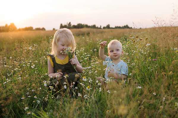 포토 JPG 해외이미지 식물 모자 라이프스타일 꽃 행복 야생동물 어린이 꽃다발 컨셉 밭 자연 건강 소년 두명 뒷모습 초록색 여름 금발 햇빛 뷰티 노란색 걷기 환경 봄 산책 기쁨 육아 자유 아기 수집 데이지 내추럴 알레르기 걸음마 캐모마일 해외202309 해외포토 동물 헤어스타일 잡화 계절 남자 감정 뷰포인트 컬러 농업 모션 휴식 사람 생활 태양 질병 허브 생태계 파일형식