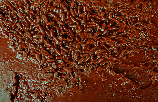 포토 JPG 해외이미지 컨셉 결혼식 추상 사람없음 빨간색 알약 약 갈색 떨어짐 생명공학 큼 약국 질감 조제 낭비 해외202309 해외포토 컬러 결혼 무늬 의학 크기 만들기 파일형식