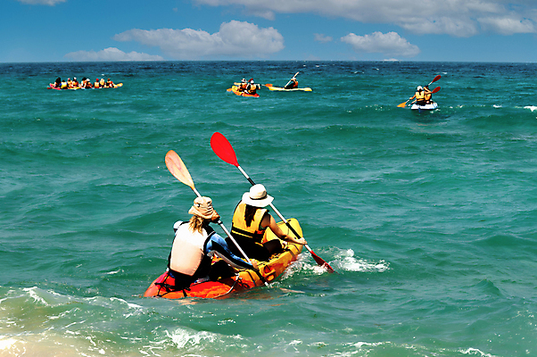 포토 JPG 해외이미지 스포츠 파도 바다 자연 사람 사람없음 야외 여름 힘 경쟁 흐름 용기 보트 위험 속도 서식 카약 뱃놀이 투쟁 필승 해외202309 해외포토 그릇 계절 컨셉 배_교통 전통놀이 수상스포츠 우승 생태계 파일형식