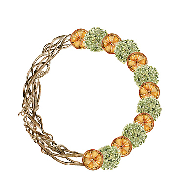 JPG 해외이미지 꽃 잎 일러스트 프레임 사람없음 화환 원형 건과일 해외202309 해외일러스트 도형 식물 과일 건조 파일형식