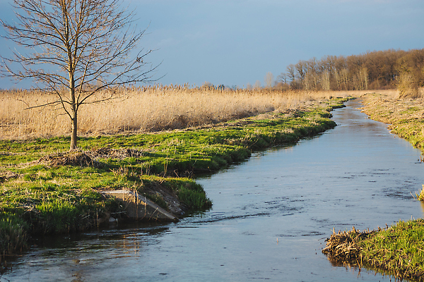포토 JPG 해외이미지 나무 식물 여행 자연 하늘 풍경 사람없음 야외 초록색 물 파란색 강 뷰티 반사 노란색 환경 봄 흐름 성장 나뭇가지 전원 숲 작음 폴란드 내추럴 해외202309 해외포토 자연요소 계절 유럽 컬러 컨셉 전기에너지 크기 생태계 파일형식