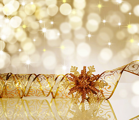 포토 JPG 해외이미지 전통 계절 리본 조각 백그라운드 크리스마스 겨울 전구 자연 휴가 새로움 매달리기 선물 사람없음 장식 빛 노란색 우주 침묵 흰색 나뭇가지 축하 소나무 화려 황금 닫기 은색 소프트포커스 연도 묘사 보케 내추럴 블러 엘리먼트 국경 해외202004 해외포토 나무 기념일 컬러 컨셉 모션 촬영기법 소리 생태계 파일형식