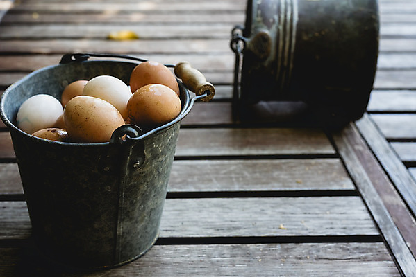 포토 JPG 해외이미지 음식 건강 사람없음 갈색 계란 신선 상품 양동이 유기농 날것 내추럴 해외202004 해외포토 웰빙 컬러 알 파일형식