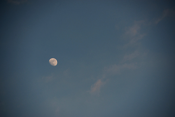 포토 JPG 해외이미지 디자인 실루엣 별 백그라운드 패턴 자연 하늘 풍경 사람없음 여름 파란색 빛 우주 검은색 어둠 황혼 새벽 꿈 할로윈 달 시간 야간 달빛 장면 점성술 천문학 빛망울 광 수평선 해외202004 해외포토 자연요소 계절 교육 컬러 무늬 촬영기법 일몰 생태계 파일형식