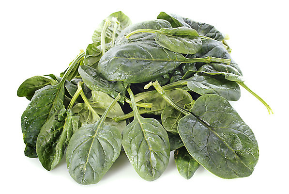 포토 JPG 해외이미지 음식 잎 채소 사람없음 초록색 신선 흰배경 날것 시금치 채식주의자 해외202004 해외포토 식물 컬러 백그라운드 흰색 채식 파일형식