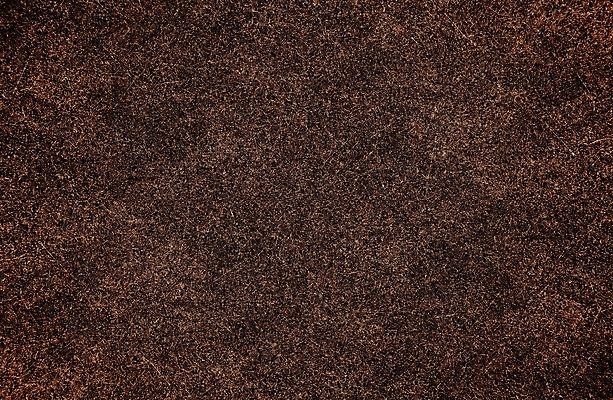 포토 JPG 해외이미지 식물 백그라운드 추상 사람없음 갈색 숲 유기농 질감 코르크 해외202004 해외포토 웰빙 컬러 무늬 파일형식