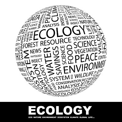 EPS 해외이미지 나무 식물 구름 디자인 지구 과학 백그라운드 컨셉 일러스트 비즈니스 텍스트 자연 통계 건강 단어 스터디 글로벌 꼬리표 평화 환경 저축 뉴스 변화 보호 숲 수집 허브 분석 에코 생태계 시스템 자원 리빙 내추럴 생태학 제어 효과 해외202004 해외일러스트 자연요소 문자 교육 금융 학습 라벨 파일형식 벡터