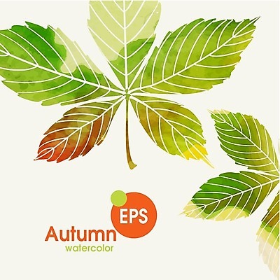 EPS 해외이미지 식물 백그라운드 잎 일러스트 자연 수채화 사람없음 빨간색 초록색 노란색 가을 밤 해외202004 해외일러스트 계절 컬러 견과류 생태계 파일형식 벡터