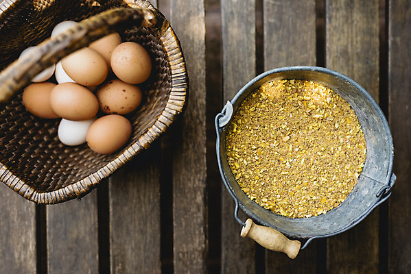 포토 JPG 해외이미지 음식 건강 사람없음 갈색 계란 신선 상품 양동이 유기농 날것 내추럴 해외202004 해외포토 웰빙 컬러 알 파일형식