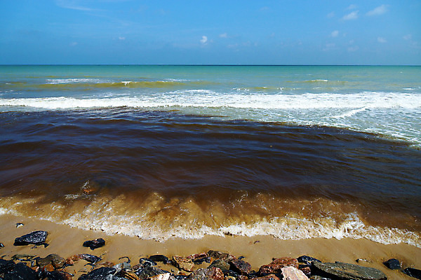 포토 JPG 해외이미지 식물 산업 공장 사람없음 야외 치료 물 글로벌 반사 환경 재활용 원형 환경오염 오염 지저분함 보호 쓰레기 큼 순수 생물학 파이프 냄새 공학 박테리아 낭비 내추럴 생태학 줄이기 폐수 해외202004 해외포토 자연요소 도형 교육 컨셉 공업 의학 모션 감각 크기 친환경 파일형식