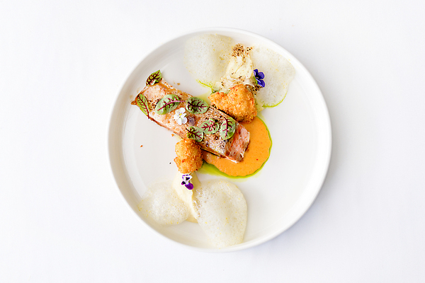 포토 JPG 해외이미지 접시 사람없음 분위기 연어 망고 치즈볼 플레이팅 해외202309 해외포토 식기 컨셉 디저트 어류 상차림 열대과일 파일형식