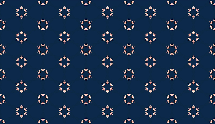 포토 JPG 해외이미지 모양 전통 디자인 종이 분홍색 컬러 백그라운드 쿠션 패턴 일러스트 베개 침구 벽지 표면 추상 미술 사람없음 그래픽 장식 파란색 유행 견본 직물 커튼 바느질 질감 모자이크 기하학 대칭 퀼트 포장소품 스타일 반복 해외202309 해외일러스트 무늬 포장 문화예술 오브젝트 포장재료 파일형식