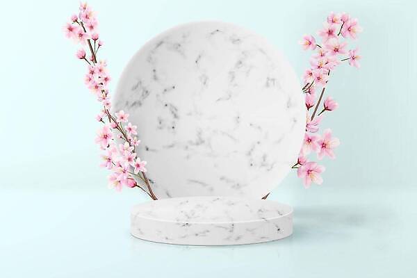 EPS 해외이미지 모양 계절 꽃 종이 백그라운드 일러스트 추상 휴가 실내 서기 장식 일본 봄 회색 무대 벚꽃 바위 표현 원형 빈 고급 상품 받침대 큐브 오브젝트 진열장 만들기 심플 쇼 대리석 장면 기하학 단상 단계 내추럴 실린더 지휘대 파스텔톤 화강암 벡터 해외202309 해외일러스트 도형 식물 아시아 컬러 컨셉 무늬 재료 모션 내부 암석 파스텔 파일형식 나라 학용품 돌 문구용품