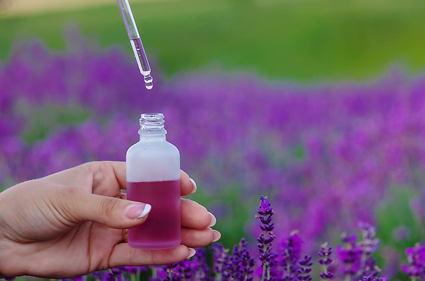 포토 JPG 해외이미지 식물 꽃 꽃다발 백그라운드 꽃무늬 밭 자연 유리 건강 풍경 사람없음 치료 뷰티 약 보라색 스파 화장품 공백 시골 신선 마사지 약초 기름 상품 허브 제비꽃 향수 유기농 향기 아로마 향 아로마테라피 테라피 라벤더 조제 내추럴 돌봄 에센스 추출 프로방스 피펫 해외202309 해외포토 웰빙 음식 컬러 무늬 농업 의학 모션 재질 실험기구 풀_식물 생태계 냄새 만들기 파일형식