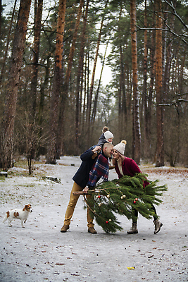 포토 JPG 해외이미지 나무 백인 라이프스타일 공원 여자 딸 행복 아들 어린이 가족 관계 엄마 휴식 함께함 건강 3 미소 성인 야외 세명 여름 부모 컬러풀 뷰티 하이킹 게임 아빠 숲 각도 주말 업기 적재 겨울풍경 해외202309 해외포토 서양인 식물 계절 공공시설 감정 컬러 컨셉 겨울 모션 놀이 레저 표정 사람 풍경 생활 파일형식