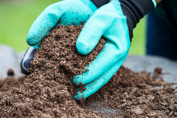 포토 JPG 해외이미지 나무 식물 손 공원 여자 지구 농업 자연 사람 취미 사람없음 초록색 흙 봄 성장 신선 잡기 냄비 작음 컨테이너 삽 유기농 원예 머리위 내추럴 개선 모종 생태학 심기 업그레이드 전염병 해외202309 해외포토 웰빙 계절 공공시설 교육 산업 컬러 모션 신체부위 질병 솥 크기 생태계 파일형식