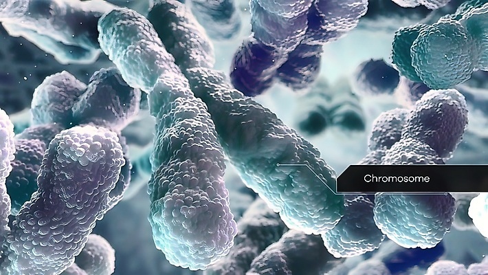 포토 JPG 해외이미지 과학 세포 건강 현미경 사람 사람없음 약 노란색 보라색 진화 바이러스 약초 질병 DNA 생명공학 약국 유기농 생물학 만들기 감염 미생물 염색체 박테리아 조제 바이오 복제 유전 해외202309 해외포토 웰빙 교육 컬러 의학 모션 생물 실험기구 풀_식물 소방 파일형식