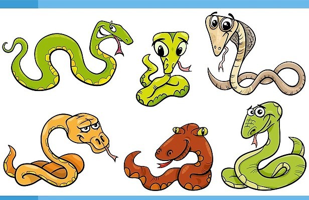 EPS 해외이미지 클립아트 동물 캐릭터 디자인 행복 야생동물 일러스트 파충류 자연 동물원 종류 그래픽 세트 뱀 유머 만화 수집 그림 벡터 해외202309 해외일러스트 일러캐릭터 감정 생태계 파일형식