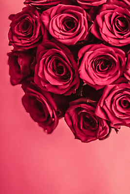 포토 JPG 해외이미지 분홍색 꽃다발 근접촬영 사람없음 장미 로맨틱 해외202309 해외포토 꽃 뷰포인트 컬러 컨셉 파일형식