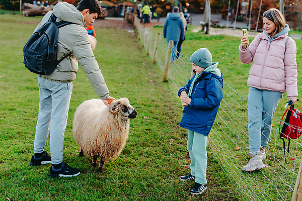 포토 JPG 해외이미지 동물 백인 행복 아시아 어린이 음식 밭 농업 포유류 자연 스트레스 관리 소년 야외 목재 옆모습 세명 초록색 울타리 농장 머리 마을 가축 우유 흰색 시골 아기 양 농부 먹이 시리얼 먹기 철사 양고기 램 밭일 수유 작살 해외202309 해외포토 서양인 나무 직업 남자 감정 나라 산업 뷰포인트 컬러 재료 모션 유제품 육류 사람 신체부위 담장 생태계 파일형식