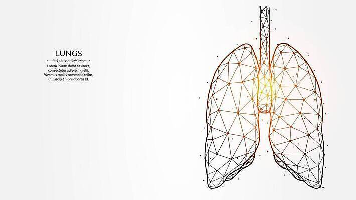 EPS 해외이미지 템플릿 디자인 선 과학 백그라운드 컨셉 신체 일러스트 해부 추상 건강 병원 사람 내부 치료 약 건강관리 디지털 오르간 허파 호흡기관 호흡 질병 생물학 시스템 기하학 천식 폴리곤 벡터 코로나바이러스 해외202309 해외일러스트 교육 무늬 의학 관리 장기_의학 건반악기 바이러스 파일형식