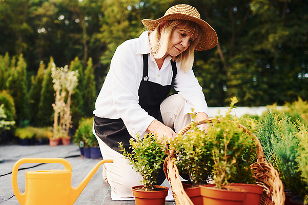 포토 JPG 해외이미지 백인 여자 노년 행복 화분 한명 상반신 취미 야외 옆모습 실버라이프 정원 봄 기쁨 무릎꿇기 원예 원예식물 원예용품 노인여자한명만 해외202309 해외포토 서양인 식물 1 라이프스타일 계절 감정 뷰포인트 생활용품 모션 사람 성인 여자한명만 노인여자만 파일형식