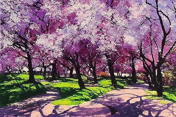 포토 JPG 해외이미지 나무 계절 공원 컬러 백그라운드 잎 오렌지 자연 사람없음 야외 빨간색 컬러풀 뷰티 노란색 맑음 보라색 봄 벚꽃 개화 숲 그림 긍정 해외202309 해외포토 식물 공공시설 꽃 컨셉 과일 날씨 생태계 파일형식