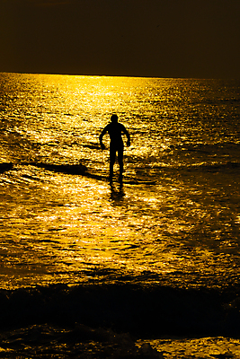 포토 JPG 해외이미지 실루엣 스포츠 파도 여행 잎 오렌지 자연 하늘 건강 그림자 사람 사람없음 야외 운동 태양 일본 일몰 서핑보드 서핑 수면 저녁 휴양지 서퍼 해외202309 해외포토 자연요소 식물 아시아 바다 과일 운동선수 촬영기법 물 노을 장소 수상스포츠 보드_스포츠 야간 생태계 파일형식