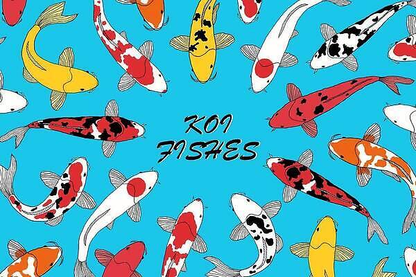 EPS 해외이미지 모양 동물 전통 디자인 배너 아시아 문화 선 컬러 백그라운드 일러스트 자연 낚시 어류 미술 동양인 그래픽 장식 파란색 컬러풀 뷰티 일본 수영 중국 방 덮개 연못 신용카드 우아함 낙서 인쇄 심볼 사인 그림 질감 윤곽 손그림 지역 동쪽 잉어 엘리먼트 스타일 벡터 해외202309 해외일러스트 나라 컨셉 레저 문화예술 인종 금융 수중동물 뚜껑 수상스포츠 방향 생태계 파일형식